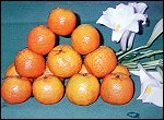 桶柑
