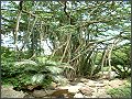 街景